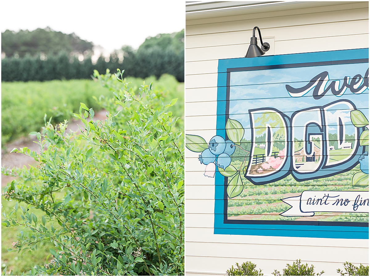 Venue Highlight Hadden Estate