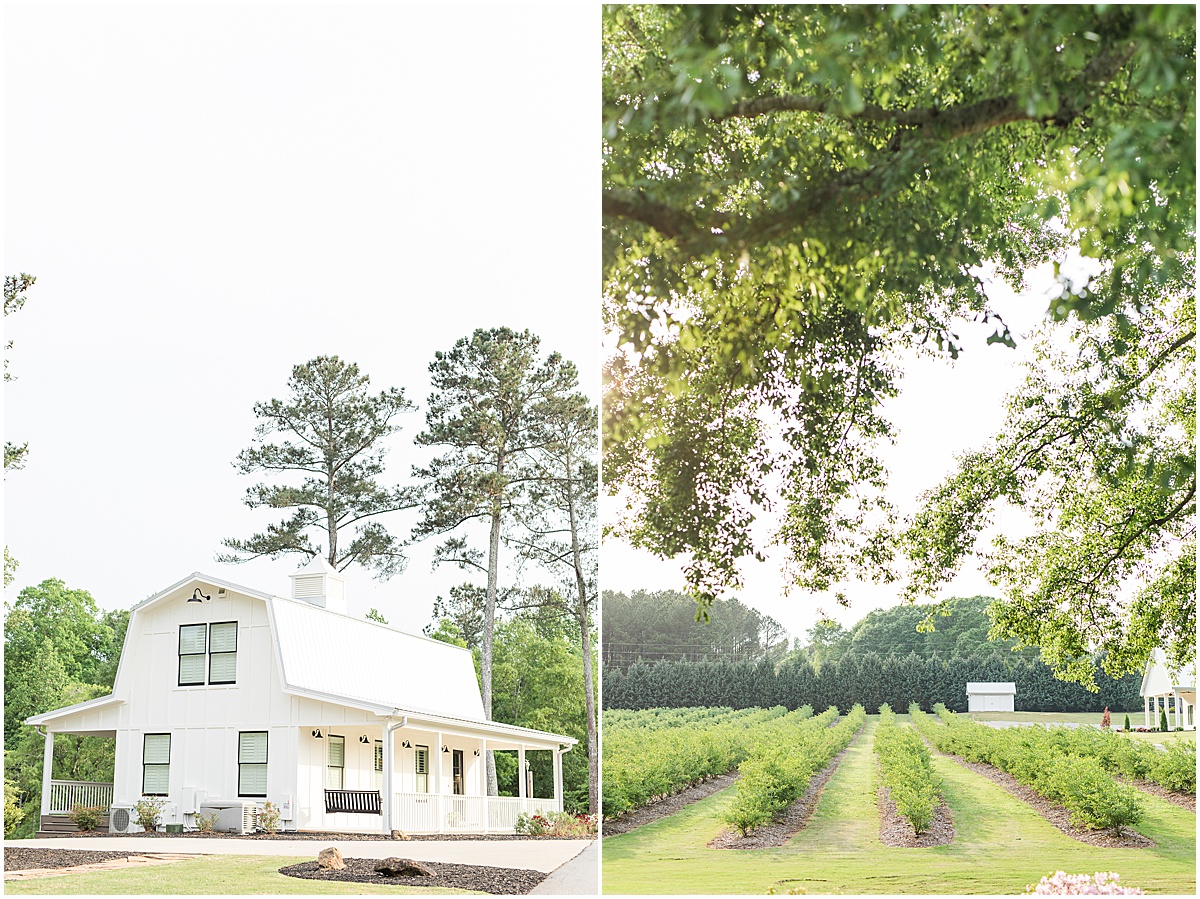 Venue Highlight Hadden Estate